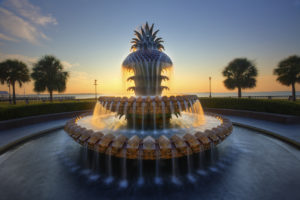 Pineapple Fountain Sunrise