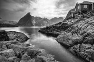 Whispers in the Wind Lofoten Islands