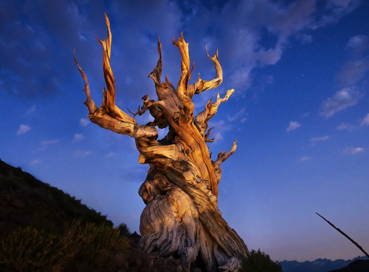 Afterglow with Methuselah