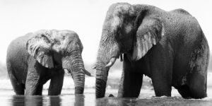 Bath Time (Mother and Baby)