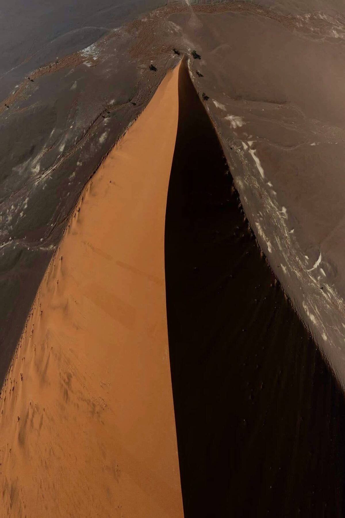 Dune Secrets